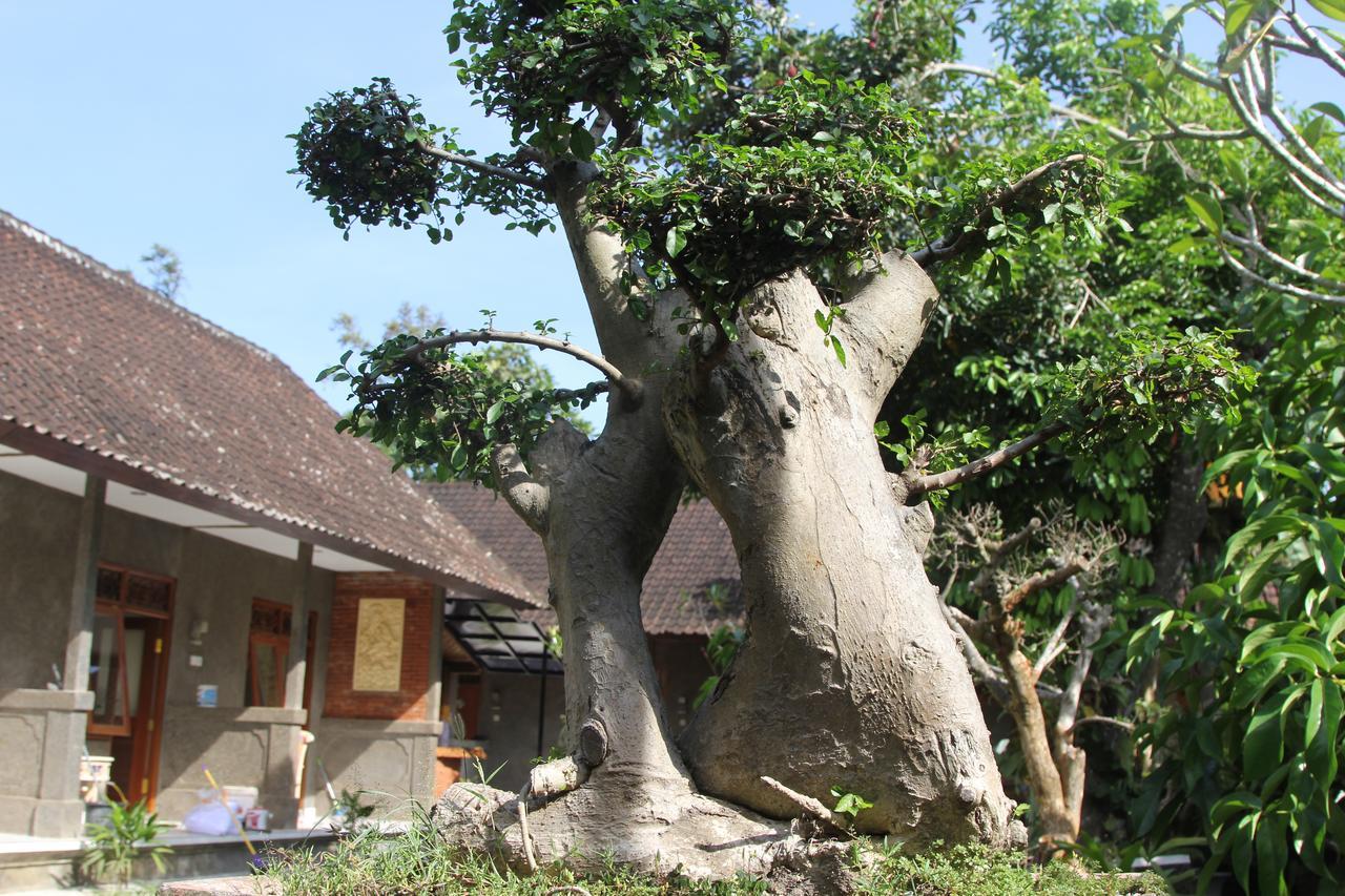 Jerogadung House Hotel Ubud  Ngoại thất bức ảnh