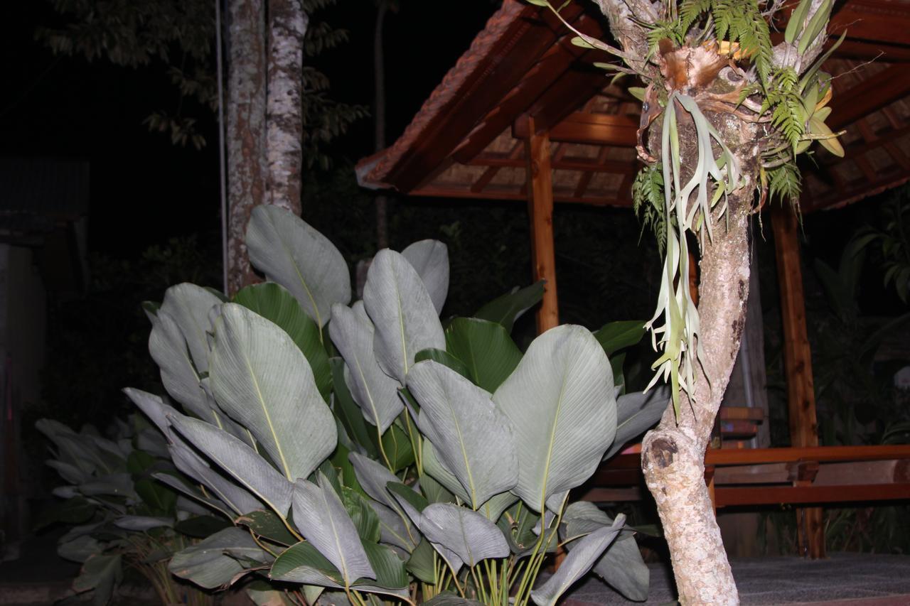 Jerogadung House Hotel Ubud  Ngoại thất bức ảnh